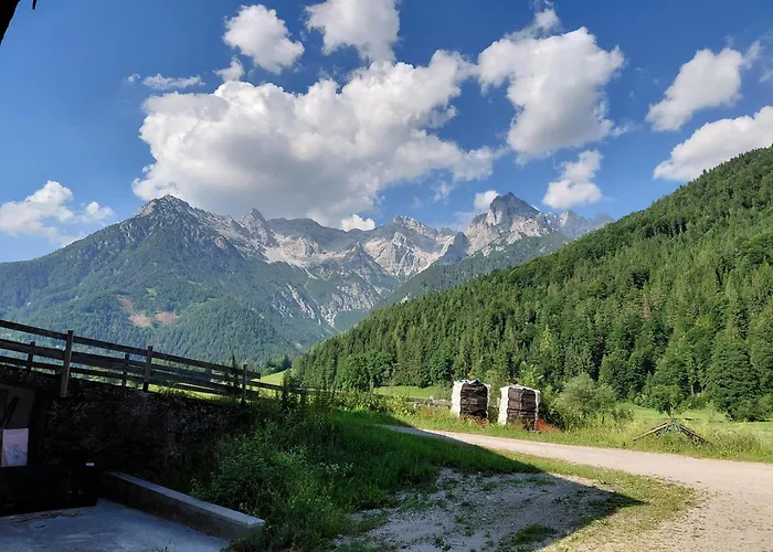 Bio Bauernhof Geisl