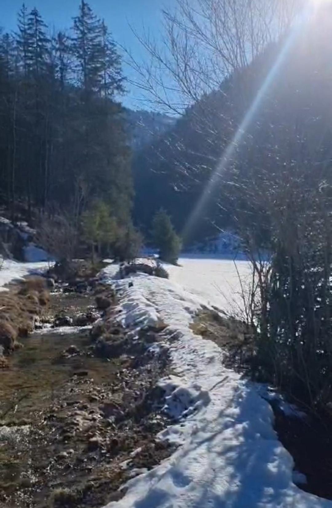 Bio Bauernhof Geisl * Sankt Ulrich am Pillersee