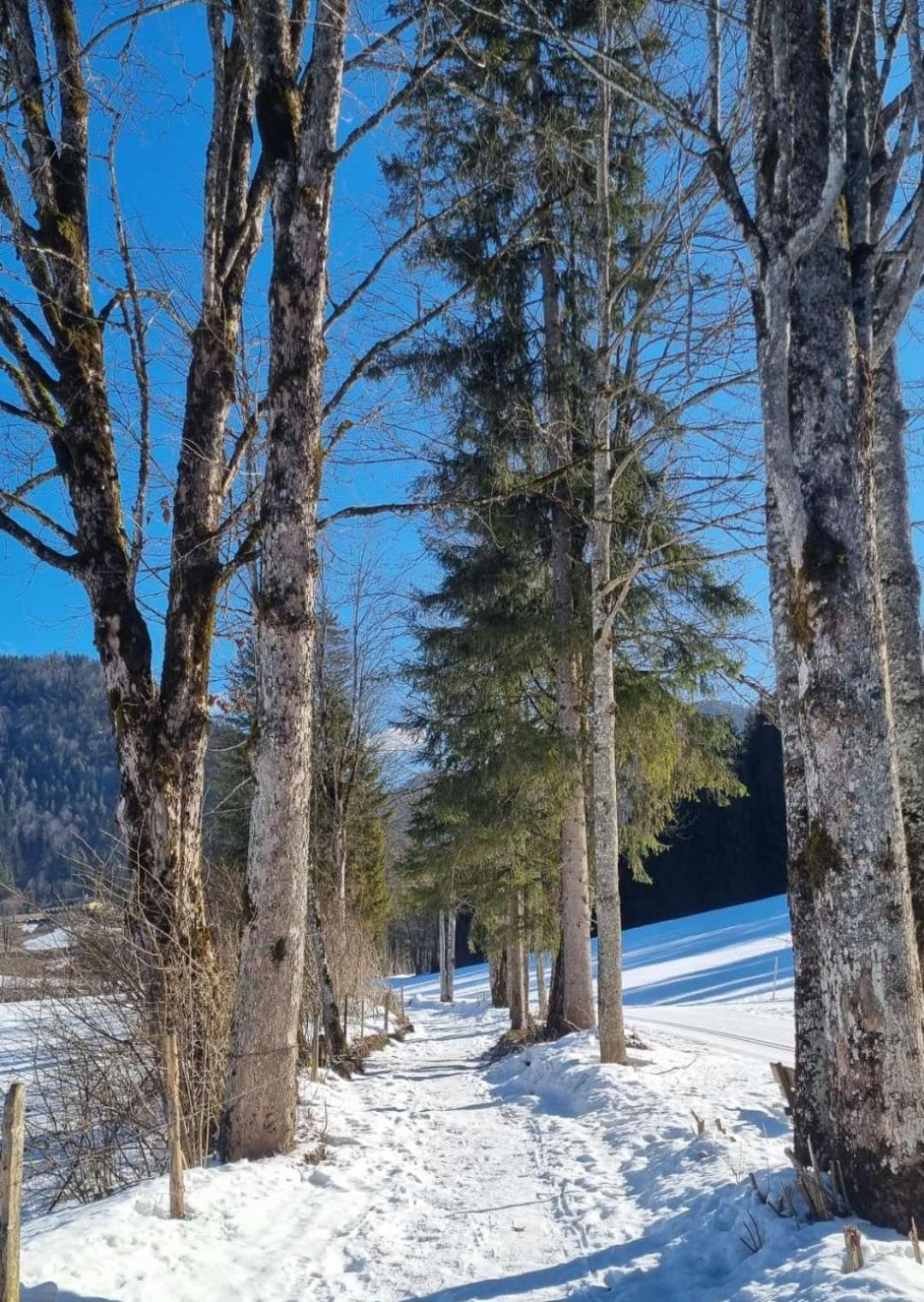 Bio Bauernhof Geisl
